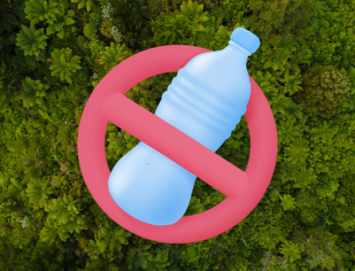 Massachusetts State Agency Plastic Bottle Ban Has Broader Sustainability Implications